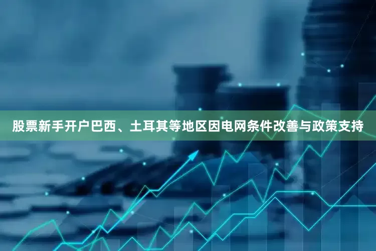 股票新手开户巴西、土耳其等地区因电网条件改善与政策支持