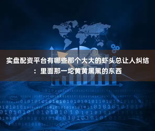 实盘配资平台有哪些那个大大的虾头总让人纠结：里面那一坨黄黄黑黑的东西