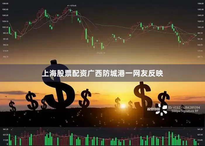 上海股票配资广西防城港一网友反映